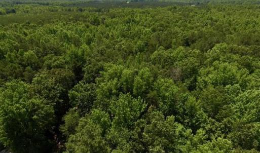 Photo of SOLD!!  37.3 Ac of Hunting and Recreational Land For Sale in Lunenburg County VA!