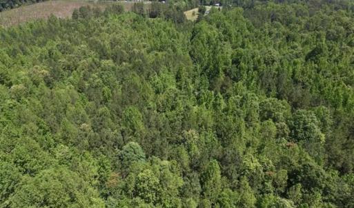 Photo of SOLD!!  37.3 Ac of Hunting and Recreational Land For Sale in Lunenburg County VA!