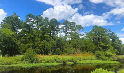 Photo of UNDER CONTRACT!!  14.2 Acres of Waterfront Residential Land For Sale in Pamlico County NC!