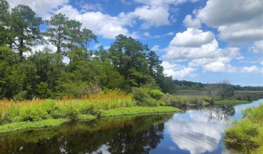 Photo of UNDER CONTRACT!!  14.2 Acres of Waterfront Residential Land For Sale in Pamlico County NC!