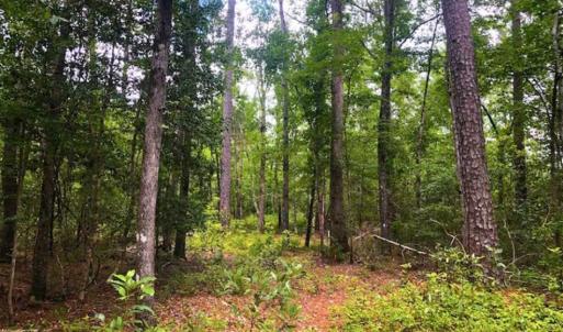 Photo of UNDER CONTRACT!!  14.2 Acres of Waterfront Residential Land For Sale in Pamlico County NC!