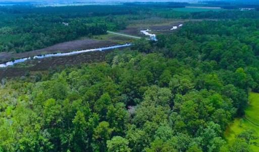 Photo of UNDER CONTRACT!!  14.2 Acres of Waterfront Residential Land For Sale in Pamlico County NC!