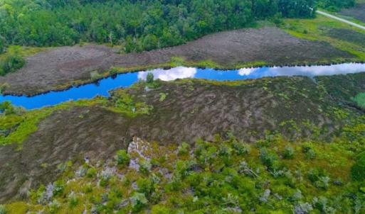 Photo of UNDER CONTRACT!!  14.2 Acres of Waterfront Residential Land For Sale in Pamlico County NC!