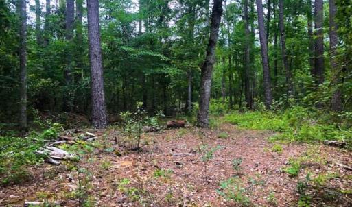 Photo of UNDER CONTRACT!!  14.2 Acres of Waterfront Residential Land For Sale in Pamlico County NC!