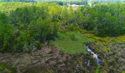 Photo of UNDER CONTRACT!!  14.2 Acres of Waterfront Residential Land For Sale in Pamlico County NC!