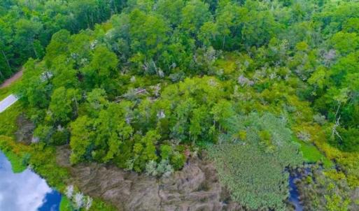 Photo of UNDER CONTRACT!!  14.2 Acres of Waterfront Residential Land For Sale in Pamlico County NC!