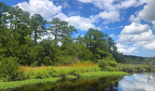 Photo of UNDER CONTRACT!!  14.2 Acres of Waterfront Residential Land For Sale in Pamlico County NC!