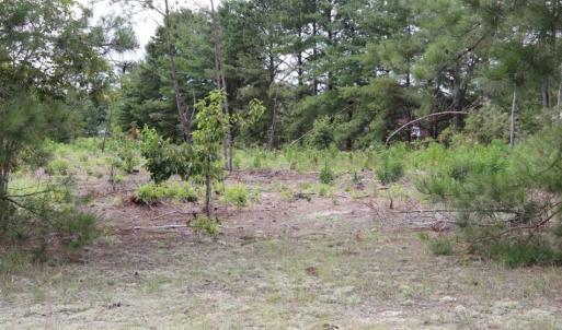 Photo of SOLD!!  22.06 Ac of Residential and Timber Land For Sale In Cumberland County NC!