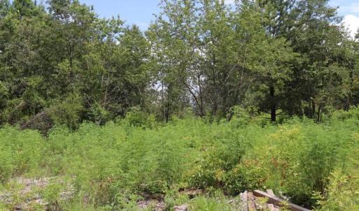 Photo of SOLD!!  22.06 Ac of Residential and Timber Land For Sale In Cumberland County NC!