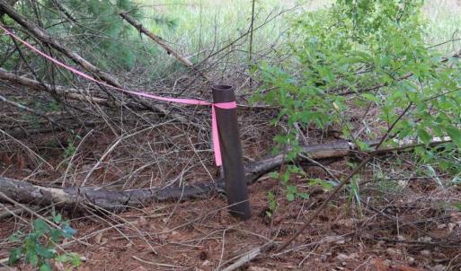 Photo of SOLD!!  22.06 Ac of Residential and Timber Land For Sale In Cumberland County NC!