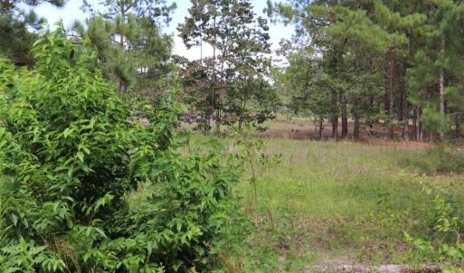 Photo of SOLD!!  22.06 Ac of Residential and Timber Land For Sale In Cumberland County NC!