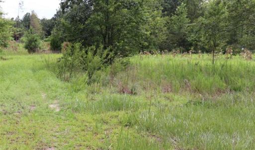 Photo of SOLD!!  22.06 Ac of Residential and Timber Land For Sale In Cumberland County NC!