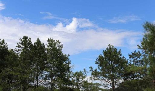 Photo of SOLD!!  22.06 Ac of Residential and Timber Land For Sale In Cumberland County NC!