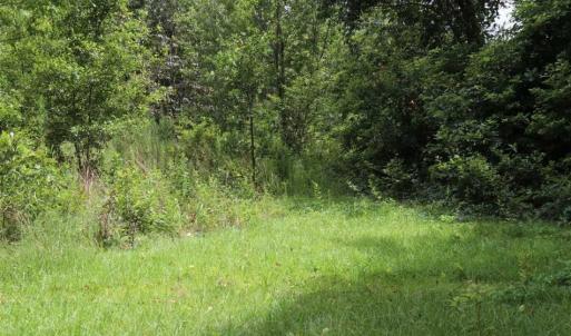 Photo of SOLD!!  22.06 Ac of Residential and Timber Land For Sale In Cumberland County NC!