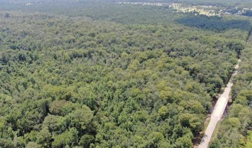 Photo of SOLD!!  162 Acres of Timber and Hunting Land For Sale in Dillion County SC!