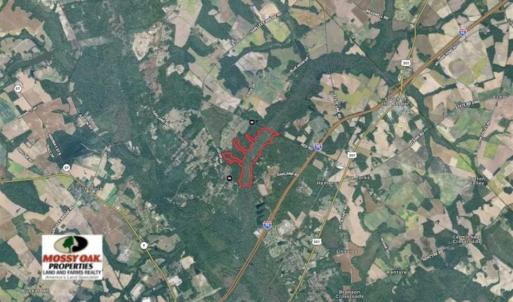 Photo of SOLD!!  162 Acres of Timber and Hunting Land For Sale in Dillion County SC!