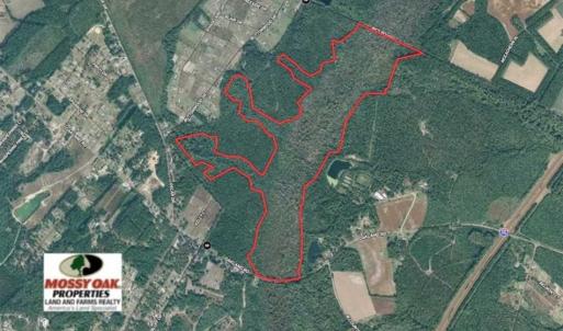 Photo of SOLD!!  162 Acres of Timber and Hunting Land For Sale in Dillion County SC!
