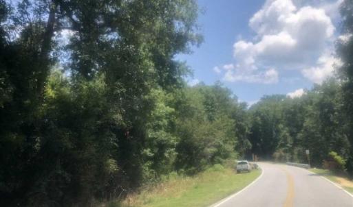 Photo of SOLD!!  162 Acres of Timber and Hunting Land For Sale in Dillion County SC!
