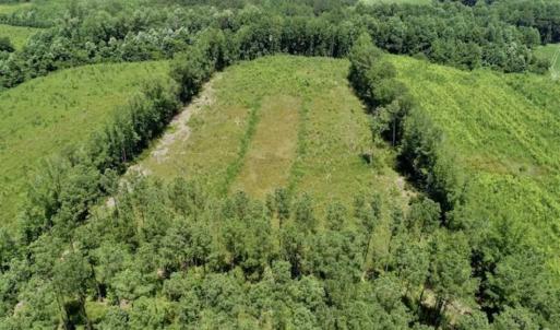 Photo of SOLD!!  Hunting Cabin with 10 Acres For Sale in Martin County NC!