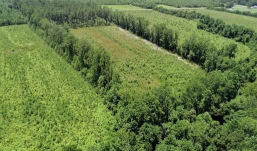 Photo of SOLD!!  Hunting Cabin with 10 Acres For Sale in Martin County NC!