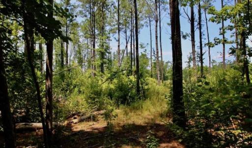 Photo of SOLD!!  Hunting Cabin with 10 Acres For Sale in Martin County NC!