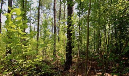 Photo of SOLD!!  Hunting Cabin with 10 Acres For Sale in Martin County NC!