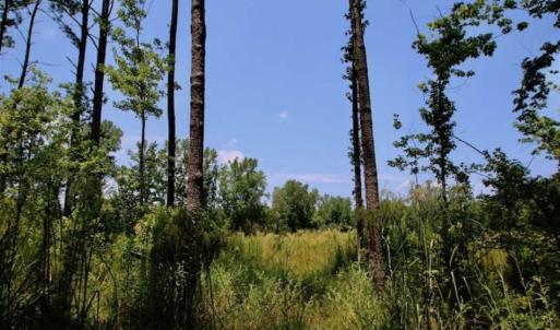 Photo of SOLD!!  Hunting Cabin with 10 Acres For Sale in Martin County NC!
