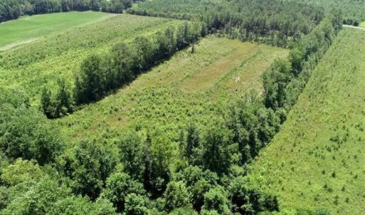 Photo of SOLD!!  Hunting Cabin with 10 Acres For Sale in Martin County NC!