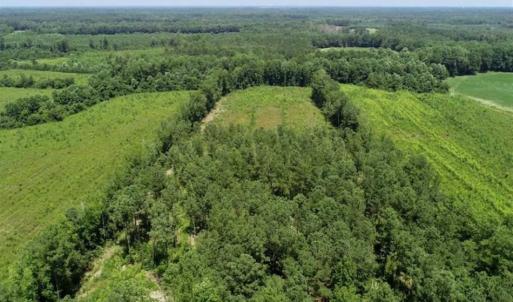 Photo of SOLD!!  Hunting Cabin with 10 Acres For Sale in Martin County NC!