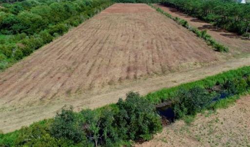 Photo of SOLD!!  57 Acres of Farm Land and Lodge For Sale in Hyde County NC!