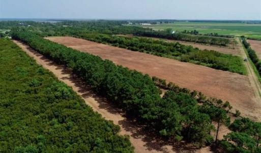 Photo of SOLD!!  57 Acres of Farm Land and Lodge For Sale in Hyde County NC!