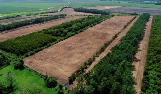 Photo of SOLD!!  57 Acres of Farm Land and Lodge For Sale in Hyde County NC!