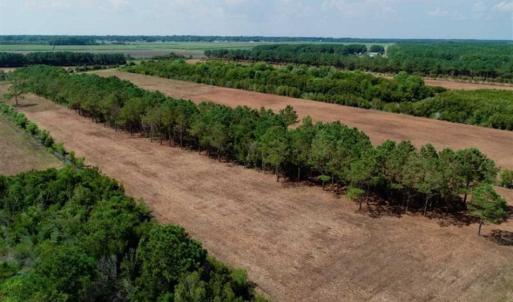 Photo of SOLD!!  57 Acres of Farm Land and Lodge For Sale in Hyde County NC!