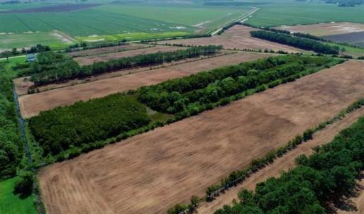 Photo of SOLD!!  57 Acres of Farm Land and Lodge For Sale in Hyde County NC!