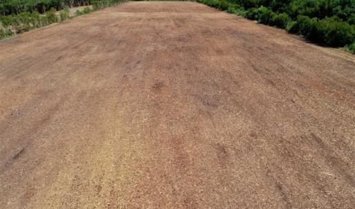 Photo of SOLD!!  57 Acres of Farm Land and Lodge For Sale in Hyde County NC!