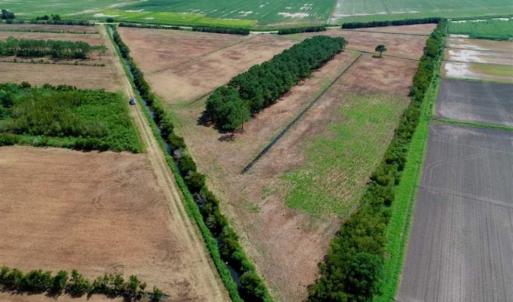Photo of SOLD!!  57 Acres of Farm Land and Lodge For Sale in Hyde County NC!