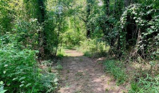 Photo of SOLD!!  13.38 Acres of Riverfront Timber and Hunting Land For Sale in Wayne County NC!