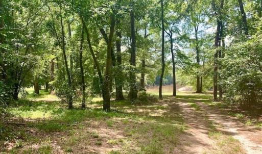 Photo of SOLD!!  13.38 Acres of Riverfront Timber and Hunting Land For Sale in Wayne County NC!