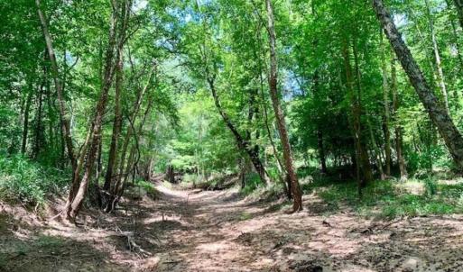 Photo of SOLD!!  13.38 Acres of Riverfront Timber and Hunting Land For Sale in Wayne County NC!