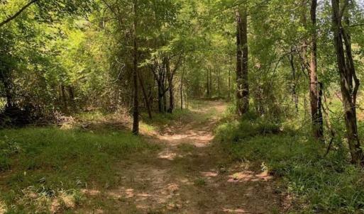 Photo of SOLD!!  13.38 Acres of Riverfront Timber and Hunting Land For Sale in Wayne County NC!