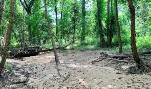 Photo of SOLD!!  13.38 Acres of Riverfront Timber and Hunting Land For Sale in Wayne County NC!