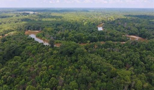 Photo of SOLD!!  13.38 Acres of Riverfront Timber and Hunting Land For Sale in Wayne County NC!
