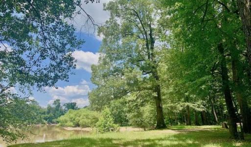 Photo of SOLD!!  13.38 Acres of Riverfront Timber and Hunting Land For Sale in Wayne County NC!