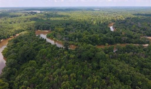 Photo of SOLD!!  13.38 Acres of Riverfront Timber and Hunting Land For Sale in Wayne County NC!