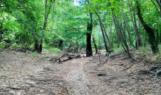 Photo of SOLD!!  13.38 Acres of Riverfront Timber and Hunting Land For Sale in Wayne County NC!