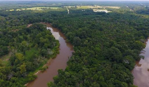 Photo of SOLD!!  13.38 Acres of Riverfront Timber and Hunting Land For Sale in Wayne County NC!