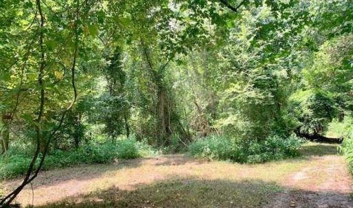 Photo of SOLD!!  13.38 Acres of Riverfront Timber and Hunting Land For Sale in Wayne County NC!
