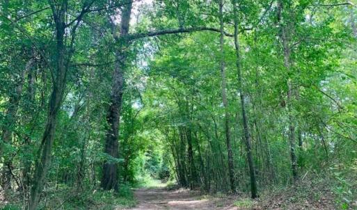 Photo of SOLD!!  13.38 Acres of Riverfront Timber and Hunting Land For Sale in Wayne County NC!
