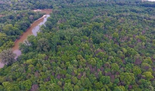 Photo of SOLD!!  13.38 Acres of Riverfront Timber and Hunting Land For Sale in Wayne County NC!