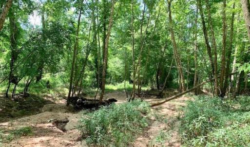 Photo of SOLD!!  13.38 Acres of Riverfront Timber and Hunting Land For Sale in Wayne County NC!